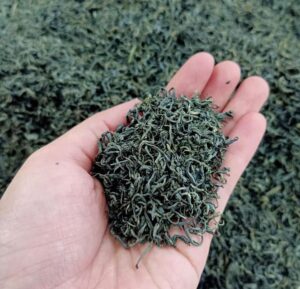 tra-moc-cau-thai-nguyen