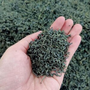 tra-moc-cau-thai-nguyen