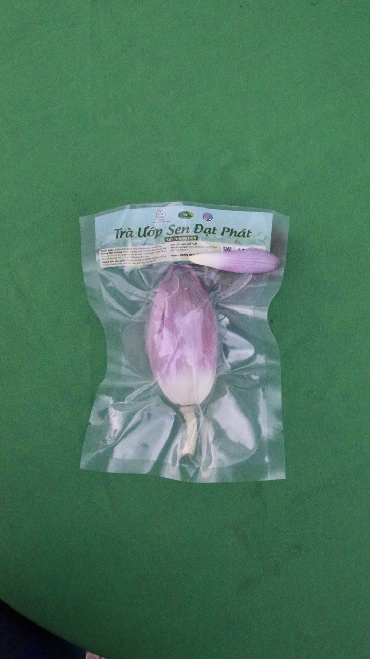 z7201631454275_e3e5930ffb3a86109ed64a2edf6372a4